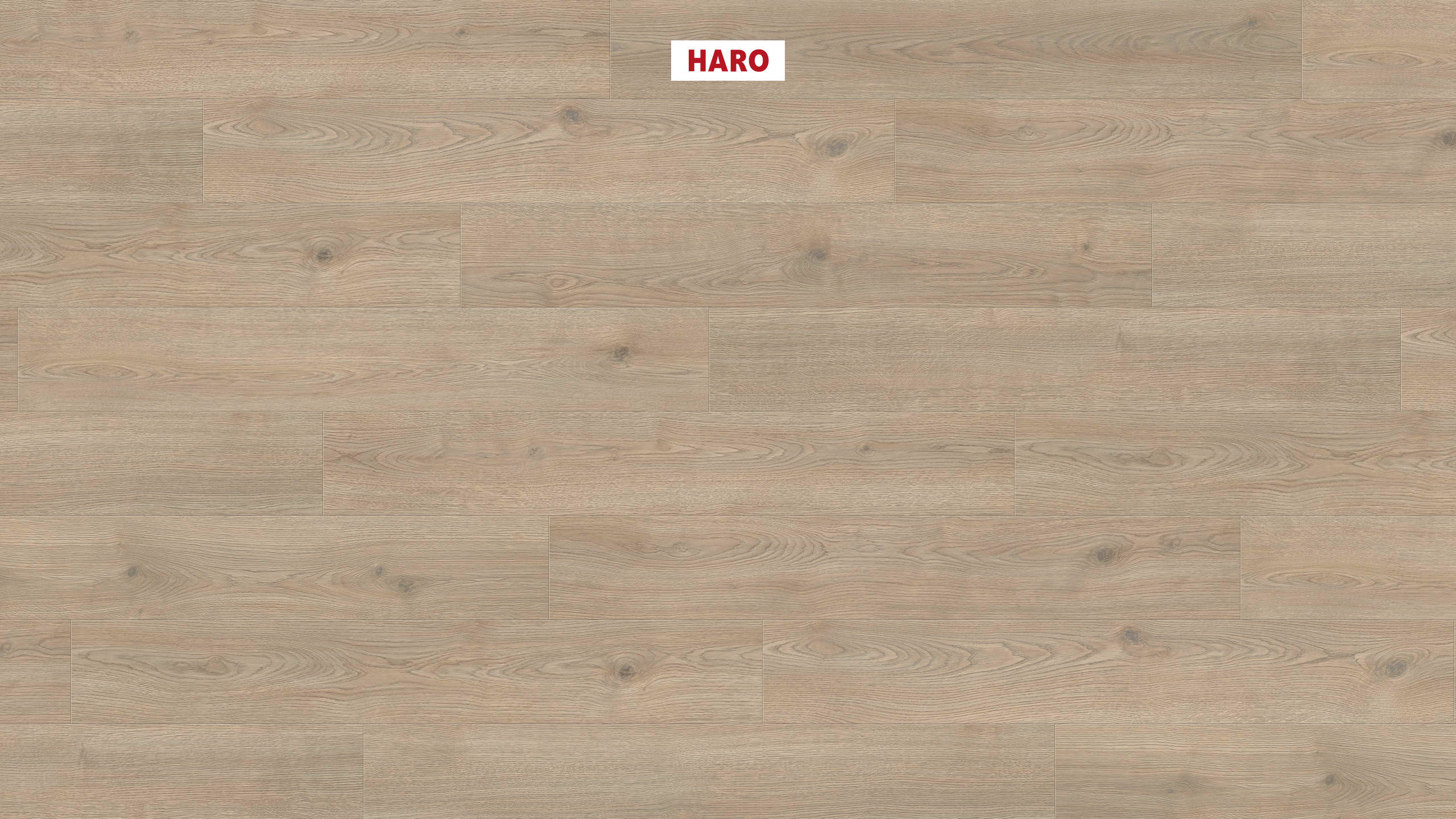 Ламинат Haro Tritty 200 Aqua 540239 Oak Contura Stone Grey