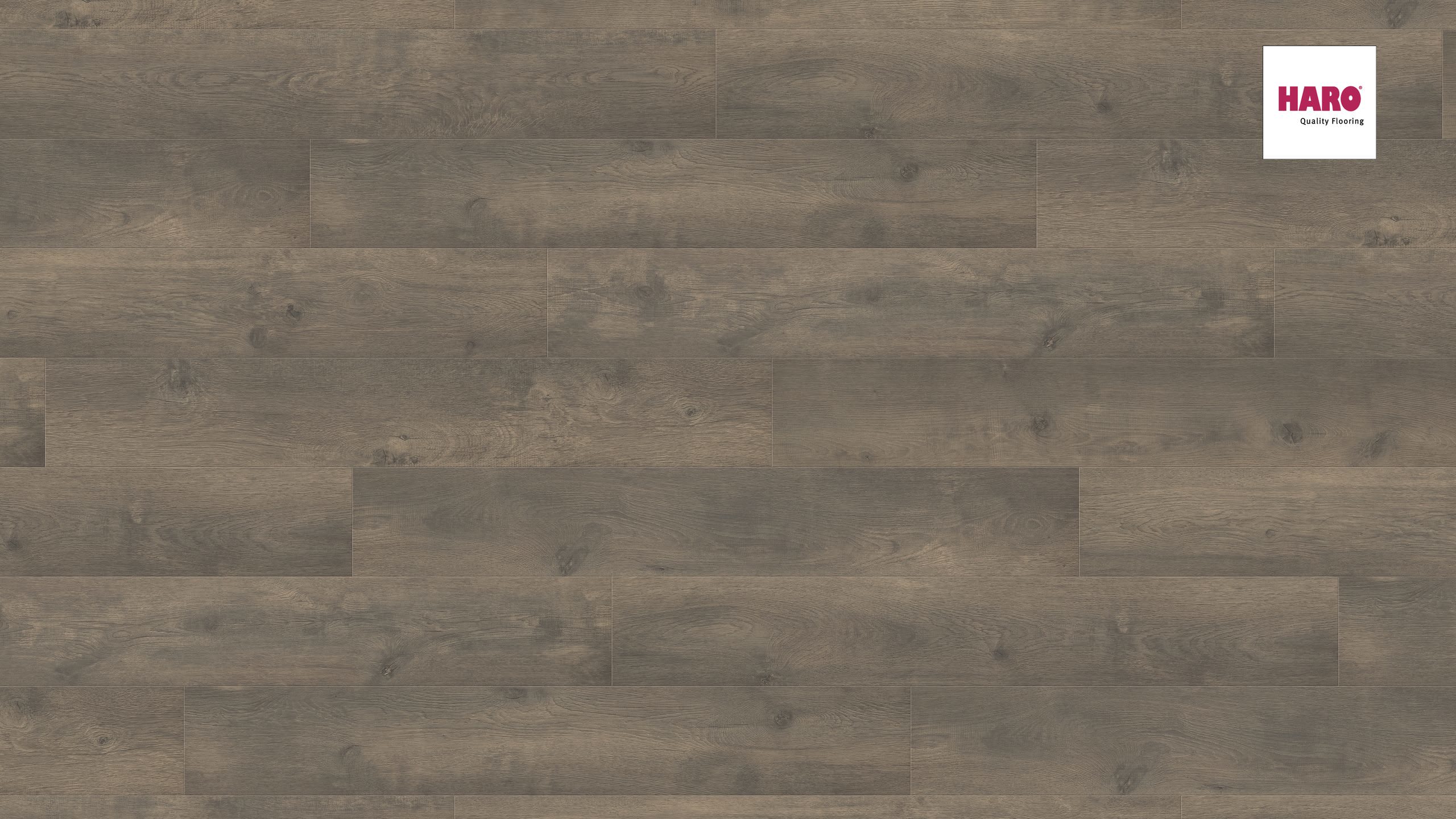 Ламинат Haro Tritty 100 Дуб Бергамо Карбон 538694